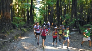 Running in the glorious Redwoods 
